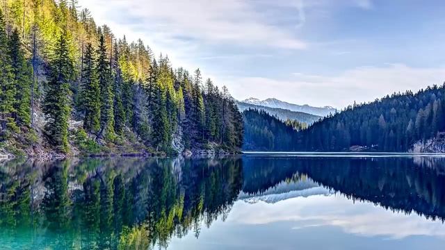 Пожалев родную тетку, Наташа приютила ее у себя. А когда та стала требовать месячное содержание... смотреть онлайн