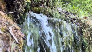 Псков-Изборск-Печоры: путешествие по древнейшим право