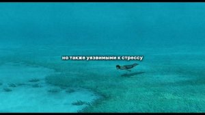 Описание очень умных людей - Как видят мир умные люди?