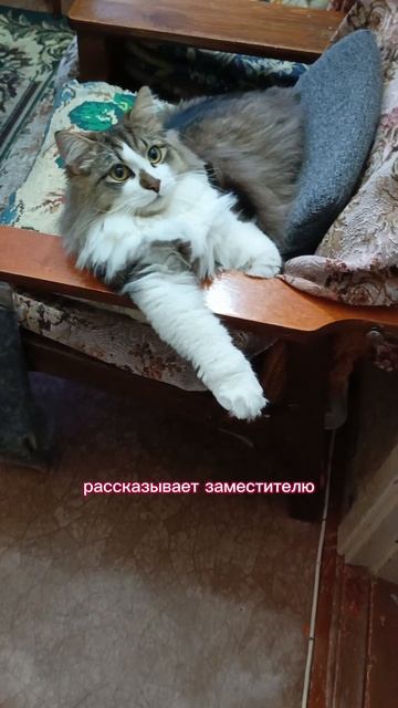 Анекдот дня. Директор и пациент.