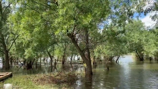 Село Серебряное и Исаковка (Омская область). Природа С? смотреть онлайн