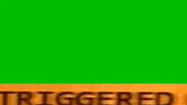Футаж TRIGGERED(ОЧЕНЬ ГРОМКИЙ) смотреть онлайн