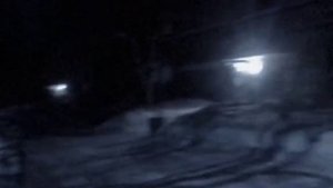 すべてがうまくいくでしょう。