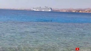 Последний день в Египте , отдых на море Шарм-эль шейх