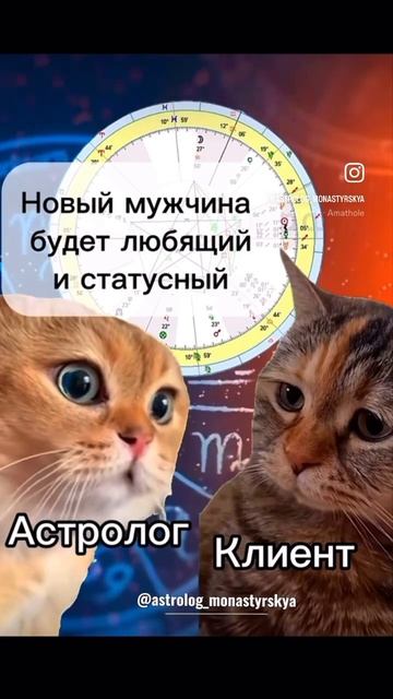 #прикол #котики #астрология #отношения #любовь #консультацияастролога #юмор #знакизодиака #смех смотреть онлайн