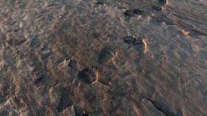 Плато Путорана часть 6 "Река Хатанга"