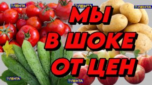 907 Обзор цен на продукты/Жизнь семьи на пенсии/Наш сад на юге
