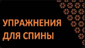 Упражнения для спины