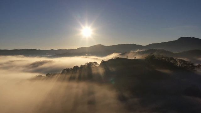 Не помню кто это сказал смотреть онлайн