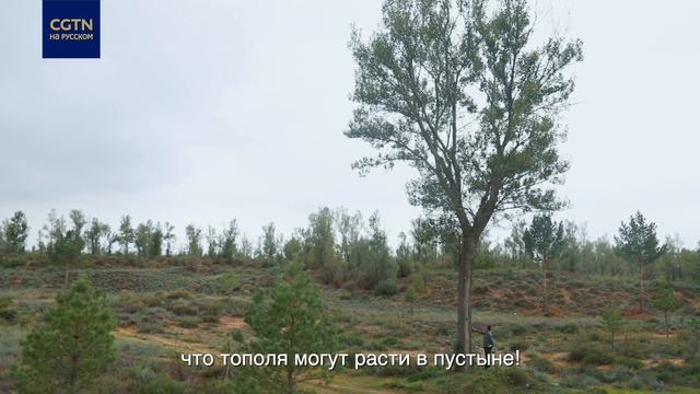 Старик и пустыня смотреть онлайн