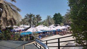 Семейный отель The Westin Dubai Mina Seyahi 5* тур в Вестин Дубай Ми?