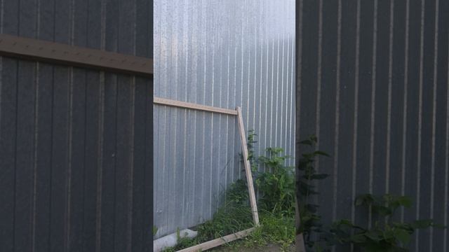 1000163806.mp4Пуховые изделия.т.89020931602