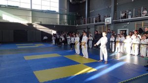 Соревнования по ката - катагруппа. Открытое Первенств?