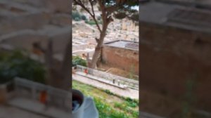 #Бенгази, часть 4 " #Ливия, кажется я влюбилась"