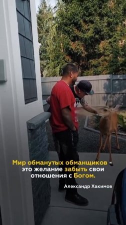 Как выглядит мнимое милосердие?