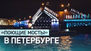 В Санкт-Петербурге прошла первая в этом году акция «Поющие мосты» — видео