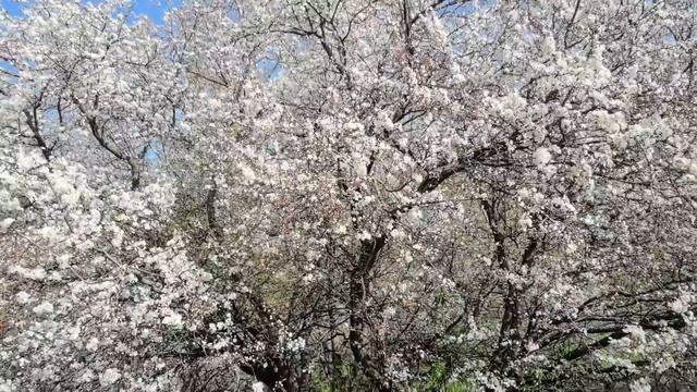 Самые НЕОБЫЧНЫЕ ФОТОЗОНЫ в Гродно смотреть онлайн