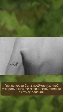 Что означали татуировки в СС и Вермахте, и почему немцы от них избавлялись?