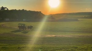 Кудыкина Гора — приключенческий парк в сердце Черноземья