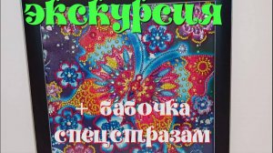 Алмазная мозаика. Экскурсия . Бабочка из спецстраз и светящихся в темноте. От распаковки до финиша