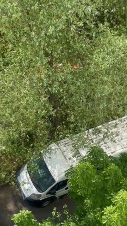 Коммунальщики сегодня пытались трактором косить траву на узком газоне в Крылатском и поломали ветки