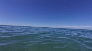 Крым 2024/Утреннее купание на базе отдыха Прибой