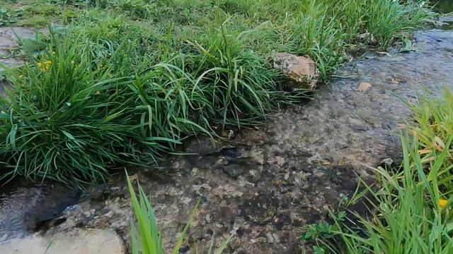 Прогулка по вечерней Лебедяни с профессором Тулаевым 25-05-2025