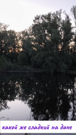 Какой же сладкий на даче сон