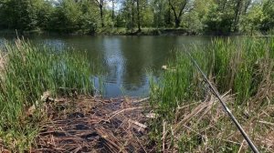 Река Битюг. Шишовка.