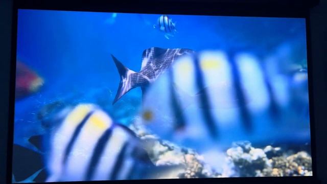 Vidda C2Ultra HDR 90 дюймов яркость 0 (2 часть) смотреть онлайн