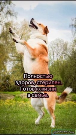 Жду чудес