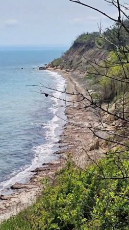 Wildlife. Bulgaria 😎✌️