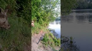 Выбрались на рыбалочку