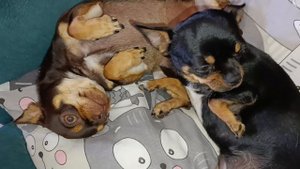 Всем наидобрейшего вечера и самой спокойной ночи.