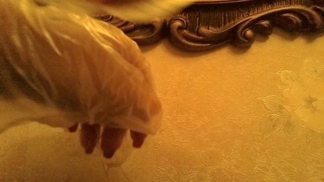 ASMR: В ПЕРЧАТКАХ. Rustling. Шуршание. whisper ASMR DREAM
