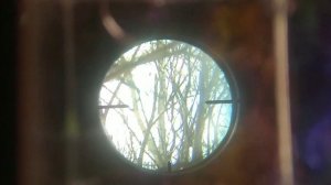 Охота на рябчика с pcp винтовкой кал 6.35мм