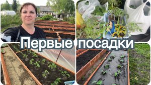 Маленькая мечта сбылась. Первые посадки. Камаз земли за один день.