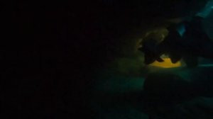 Дайвинг в пещерах Геленджика. Невероятное погружение,