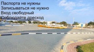 ОАЭ в декабре. Фуджейра.