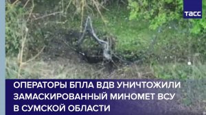 Операторы БПЛА ВДВ уничтожили замаскированный миномет ВСУ в Сумской области
