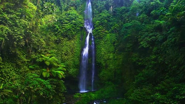 Дикая природа Амазонки — откройте для себя существ, населяющих джунгли смотреть онлайн