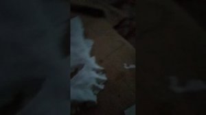 как сделать маску по квадробике