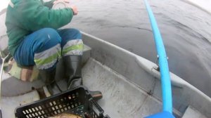 Ноябрь. 2024. Рыбалка на Вуокса Вирта.