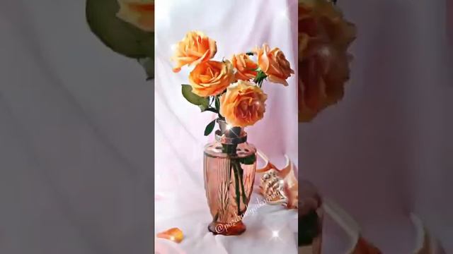 Доброе утро(1)