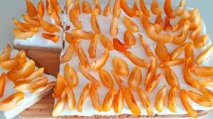 Торт с кокосовым кремом и абрикосами без лактозы !