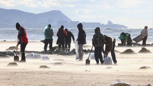 В Анапе водолазы собрали с одной черного моря 88 мешков мазутной смеси