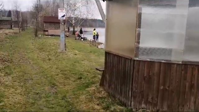 Светлые Горы 14.04.2024г. смотреть онлайн