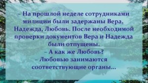 35 . АНЕКДОТЫ ОТ И ДО