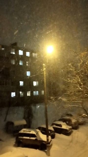 PXL_20240118_203311139