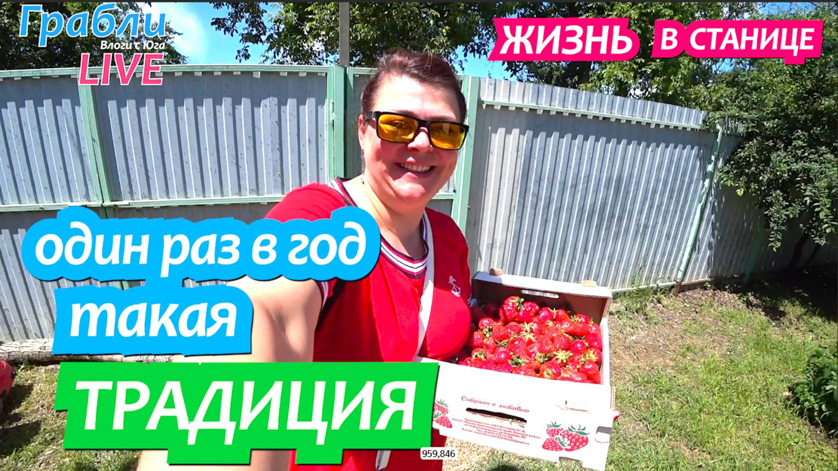914 серия 24 мая 2025. Купили ящик клубники. Отмечаем. Жизнь в своем доме на Юге  станица Динская